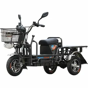 Skuter listrik dua roda untuk dewasa, sepeda Motor listrik dengan 1200w sepeda kargo