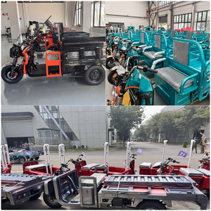 Umweltfreundliches Elektro-Lastenfahrrad mit 800W und 500kg Tragkraft für den Stadtverkehr - Product Image 5