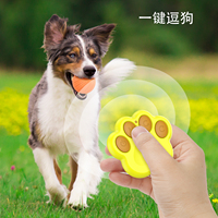 Nouvelle balle de course automatique avec balle de jouet de chat interactive intelligente colorée pour chats chiens