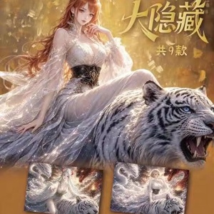 CHXU Goddess Waifu Collection Cards Booster Box Rare Swimsuit Girls <span class=keywords><strong>Game</strong></span> Playing Cards Toys Gifts One Pieced Acrylic Shikishi - Product Image 2