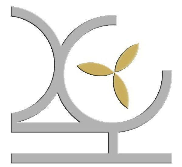 Shenzhen Xinhe Motor Co., Ltd. logo