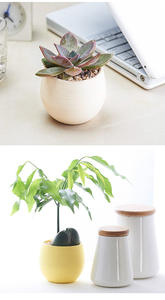 Vaso Rotondo in Plastica <span class=keywords><strong>per</strong></span> <span class=keywords><strong>Semi</strong></span> di Cactus, Vaso <span class=keywords><strong>per</strong></span> Piante Succulente con Fori di Drenaggio, Fioriera Bianca - Product Image 6