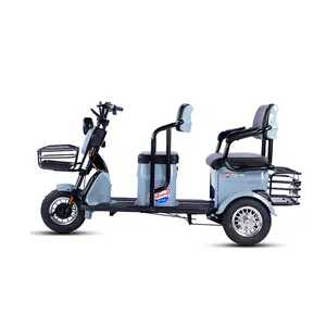 mobility scooter 24 v motor enclosed electric pedal bike trex 3 wheel motor bike elektrische roller kabine auto