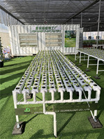 Système hydroponique en tuyaux PVC, systèmes de culture hydroponique verticaux et horizontaux personnalisés, systèmes de culture NFT, agriculture, canal NFT