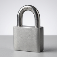 Cadenas d'ordinateur en acier inoxydable de haute qualité de fabricant chinois de Type SS 304 carré de 60mm