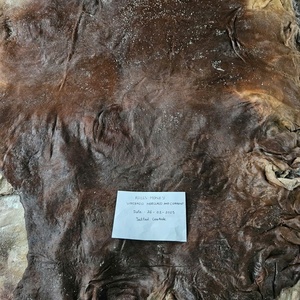 Peaux de vache et de buffle salées à double face de qualité supérieure pour la tannerie du cuir, la fabrication de bagages et de chaussures, exportées du Vietnam - Product Image 6