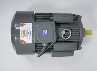 Moteur électrique monophasé à induction BI-3-SPL-CI 5HP 3,7KW 210-230V 1440RPM TEFC CSCR avec support en fonte