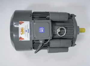 มอเตอร์เหนี่ยวนำเฟสเดียว BI-3-SPL-CI 5 แรงม้า 3.7 กิโลวัตต์ 210-230 โวลต์ 1440 รอบต่อนาที TEFC CSCR ฐานเหล็กหล่อ - Product Image 4