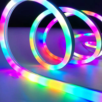 Tira de neón RGB Alto voltaje 110V/220V Control de aplicación/Control remoto/Control DMX programable