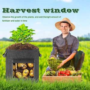 2025 zanahoria fresa tela de fieltro negro bolsas de cultivo de patatas bolsa de cultivo de tela de maceta redonda personalizada para plantas - Product Image 5