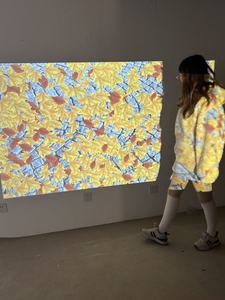 Nhà Sản Xuất Nhà Cung Cấp Bán Tường Máy Chiếu Trò Chơi Tương Tác 3D Sàn Hệ Thống Chiếu Cảm Biến Chuyển Động Ma Thuật Bóng Trò Chơi - Product Image 2