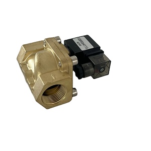 Vanne solénoïde métallique Manny 1089064116 pour compresseur d'air à vis, certifiée ISO9001, garantie 1 an, état neuf - Product Image 6