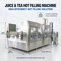 Machine de remplissage à chaud pour jus industriels, usine complète de traitement de boissons clé en main, ligne d'embouteillage SUS304 CE, fabricant