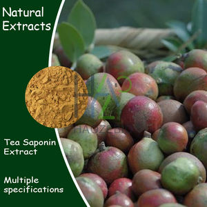 خلاصة بذور كاميليا سينينسيس بالجملة من المصنع مسحوق شاي سابونين - Product Image 2