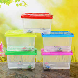 מלבני יד מרוח פלסטיק דג חילזון זוחל האכלה תחבורה פלטפורמת יד ביד מוחזק חיית מחמד מיכל צב דגים - Product Image 6