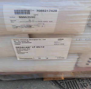 Resina Acrílica Sólida en Polvo DEGALAN LP 65/12 N con Excelente Resistencia a la Intemperie y Adhesión para Pintura y Recubrimiento - Product Image 3