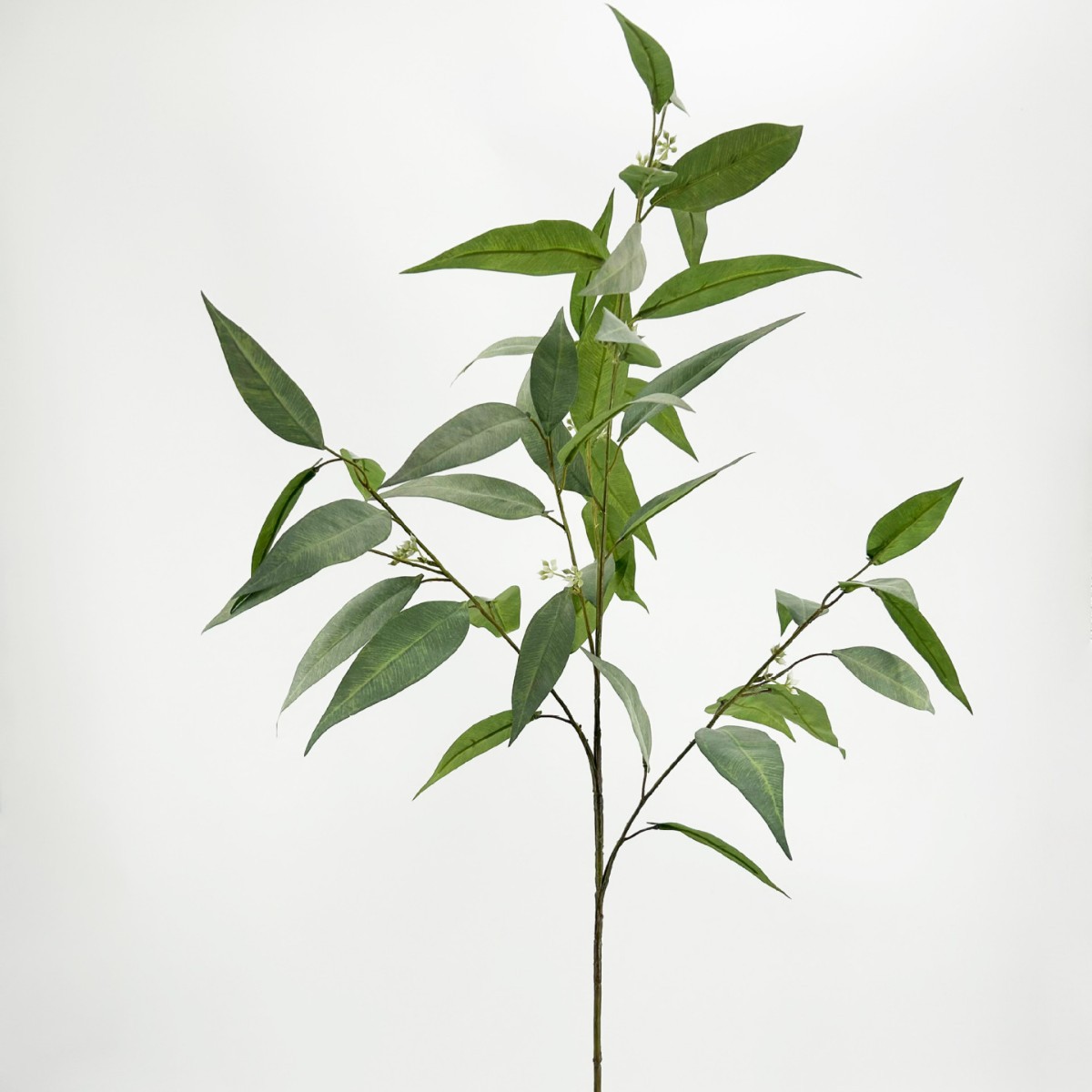 Green with fruit