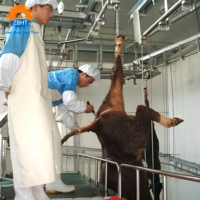 Peralatan Pemotongan Sapi Khusus Muslim untuk Rumah Pemotongan Hewan (RPH) Daging Sapi dengan Sertifikasi Halal Sistem Lini Pemrosesan Kapasitas Tinggi