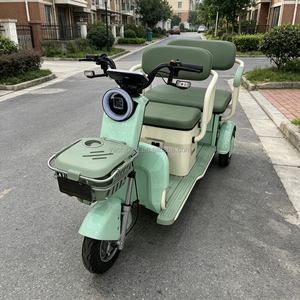 <span class=keywords><strong>Triciclo</strong></span> Eléctrico <span class=keywords><strong>de</strong></span> <span class=keywords><strong>Carga</strong></span> <span class=keywords><strong>Económico</strong></span> <span class=keywords><strong>de</strong></span> 600W para Uso Doméstico - <span class=keywords><strong>Triciclo</strong></span> Eléctrico <span class=keywords><strong>de</strong></span> 3 Ruedas <span class=keywords><strong>de</strong></span> 48V/60V para Jardín y Transporte <span class=keywords><strong>de</strong></span> Mercancías Ligeras - Product Image 5
