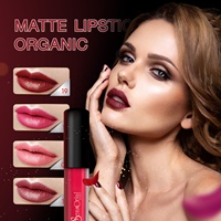 Rouge à lèvres mat biologique haut de gamme, formule riche et douce, couleur claire, étanche, longue durée, OEM