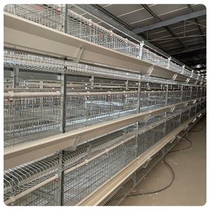 <span class=keywords><strong>Jaulas</strong></span> de pollo tipo H, capa de huevo, jaula de malla de alambre <span class=keywords><strong>para</strong></span> brooder de pollo, a la venta, <span class=keywords><strong>jaulas</strong></span> de pollo <span class=keywords><strong>caseras</strong></span> - Product Image 6