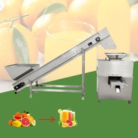 Presse-agrumes industriel en acier inoxydable pour oranges et citrons – Machine à jus