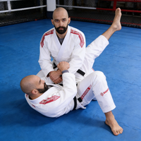 100% Katun BJJ Gi Jiu Jitsu Kimono Seragam Latihan Seni Bela Diri Nyaman untuk Dewasa Pria Wanita OEM ODM Penjualan Langsung Pabrik