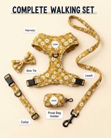 Ensemble de harnais pour chien anti-traction personnalisé, collier rembourré doux, laisse et harnais de qualité supérieure pour chien, distributeur de sacs à déjections canines, accessoires pour animaux de compagnie