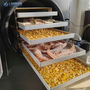 Chi Phí Thấp Hộ Gia Đình Nhỏ Cà Phê Nhỏ Nấm Dâu Tây Trái Cây Rau Chân Không Liofilizador Đóng Băng Máy Sấy Các Nhà Sản Xuất - Product Image 2