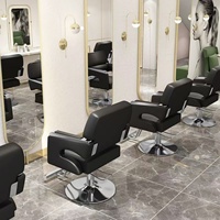 Silla de Peluquería Moderna con Elevación, Silla de Salón de Belleza para Mujeres, Silla Profesional de Peluquería, Barbería
