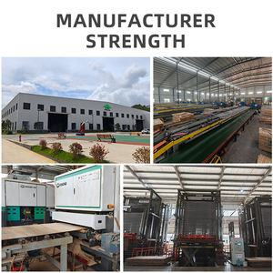 Contrachapado Recubierto de Película Antideslizante de Alta Tracción de 9 a 18 mm, WBP, Resistente a la Humedad, para Pisos de Escenarios, <span class=keywords><strong>Estudios</strong></span> de Danza y Giras - Product Image 6