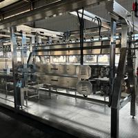 Machine à plumer les poulets en acier inoxydable, équipement de traitement de la volaille pour l'élimination des plumes