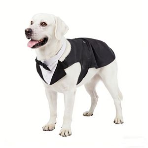 Costume de smoking britannique pour chien avec nœud papillon, tenue de mariage formelle pour témoin, costume en polyester pour chiens de taille moyenne à grande - Product Image 5