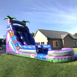 Structure gonflable aquatique bon marché en PVC pour <span class=keywords><strong>location</strong></span> événementielle, <span class=keywords><strong>avec</strong></span> toboggan aquatique double à glissière, thème marbré bleu et violet tropical, pour adultes et enfants - Product Image 3