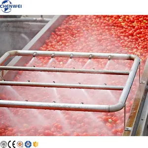 Tomatenpaste-Produktionslinie Tomatenverarbeitungsmaschine und Verpackungsmaschine