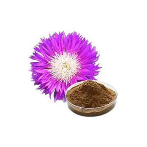 5:1, 10:1, 20:1 <span class=keywords><strong>Rhaponticum</strong></span> <span class=keywords><strong>Carthamoides</strong></span> Extracto de raíz de Maral ecdisterona para la fatiga - Product Image 1