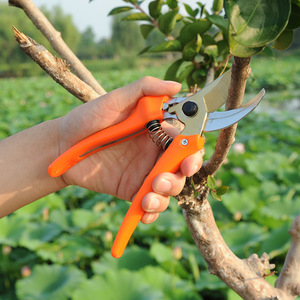 Bypass <b>Pruner</b> Stainless Steel Orange 20-30 Mm For Garden Fruit <b>Tree</b> Trimming - Product Image 1