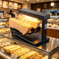 Chauffe-fromage électrique professionnel 900W, machine à faire fondre le beurre pour cheddar et mozzarella
