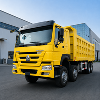 Camion benne minier d'occasion lourd 8x4 Diesel Euro 3 à 12 roues avec benne de chargement, benne malaxeur à béton et benne basculante