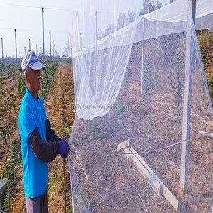 Trong suốt chống côn trùng màn hình lưới nhựa malas antiafidos nông nghiệp nhà kính muỗi lưới - Product Image 5