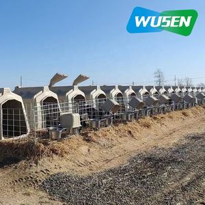 Box per Vitelli/Allevamento Vitelli Attrezzature per Allevamenti Lattiero-Caseari Personalizzazione Fabbriche di Bestiame Vendita all'Ingrosso - Product Image 6