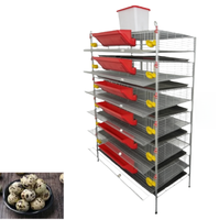 Cage à étages robuste de type H pour la production d'œufs de cailles, avec alimentation et abreuvement automatiques