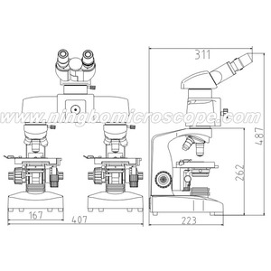 CPR.06.117 生物比較顕微鏡 - Product Image 4