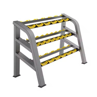 Support de rangement pour haltères DINUO à 2 et 3 niveaux, organisateur d'haltères pour salle de sport commerciale, présentoir