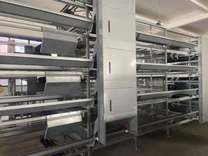 อุปกรณ์เลี้ยงไก่ไข่แบบกรงเหล็กอัตโนมัติรุ่นใหม่ JiHua H พร้อมระบบเก็บไข่ - Product Image 5