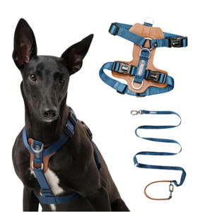 Üreticileri yeni tasarım lüks Pet köpek koşum Set ayarlanabilir hiçbir çekme eğitim köpek yelek aksesuarları tasma köpekler için - Product Image 5