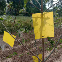 Gele stevige dubbelzijdige kleefplaat van plastic, klein, zwart, voor vliegen, fruitvliegen, wespen, thrips, boomgaarden, kassen