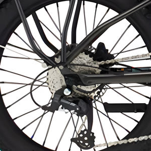 Triciclo Eléctrico de Carga para Adultos, con Batería de Litio de 36V, Dos Ruedas, Neumáticos Gruesos para Arena y Nieve, 250W, Bicicletas Rápidas - Product Image 6