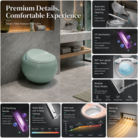 WC intelligent personnalisé OEM/ODM avec couvercle automatique, chasse d'eau automatique, lavage à l'eau chaude, siège chauffant et bidet intégré