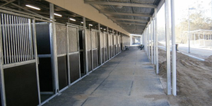 Abri pour chevaux d'extérieur Stable Portable en acier galvanisé à chaud Équipement agricole autoportant Stalles couvertes Abri pour chevaux portable - Product Image 2